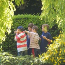 garden pond area