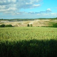 wicken-fen-national-nature