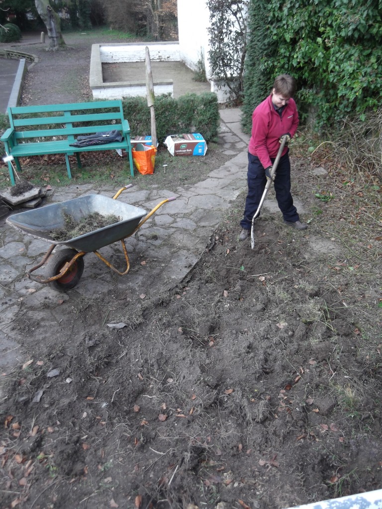 Herb garden Tonidigging Burwell House
