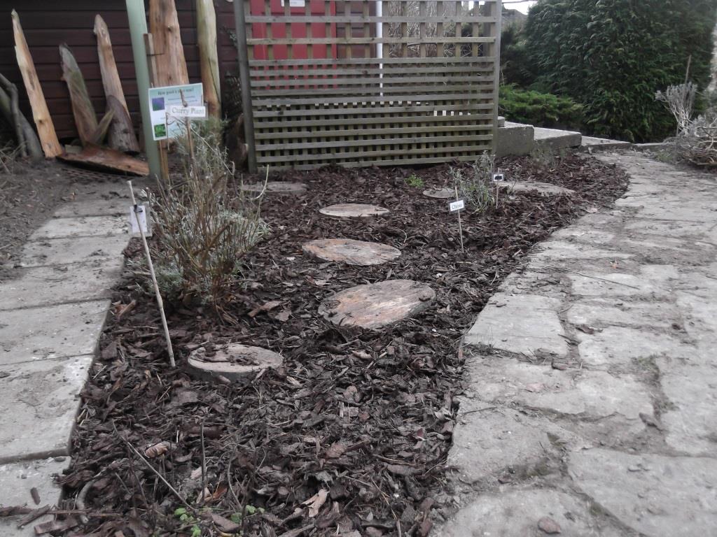 Herb garden done Burwell House